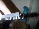 IMG00163-20100919-0002.jpg